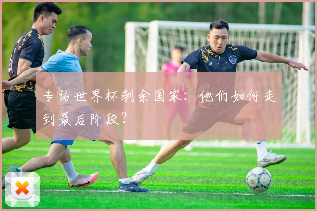 专访世界杯剩余国家：他们如何走到最后阶段？