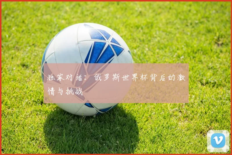 独家对话:俄罗斯世界杯背后的激情与挑战