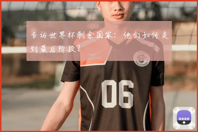专访世界杯剩余国家：他们如何走到最后阶段？