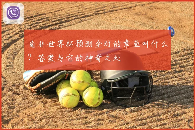 南非世界杯预测全对的章鱼叫什么?答案与它的神奇之处