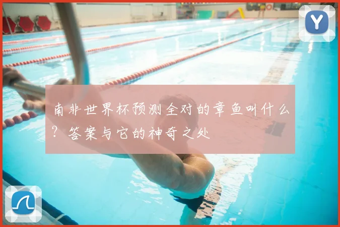南非世界杯预测全对的章鱼叫什么?答案与它的神奇之处