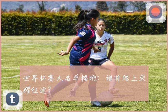 世界杯赛大名单揭晓:谁将踏上荣耀征途?