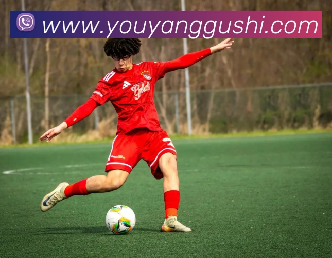 mk体育平台官网平台生态图