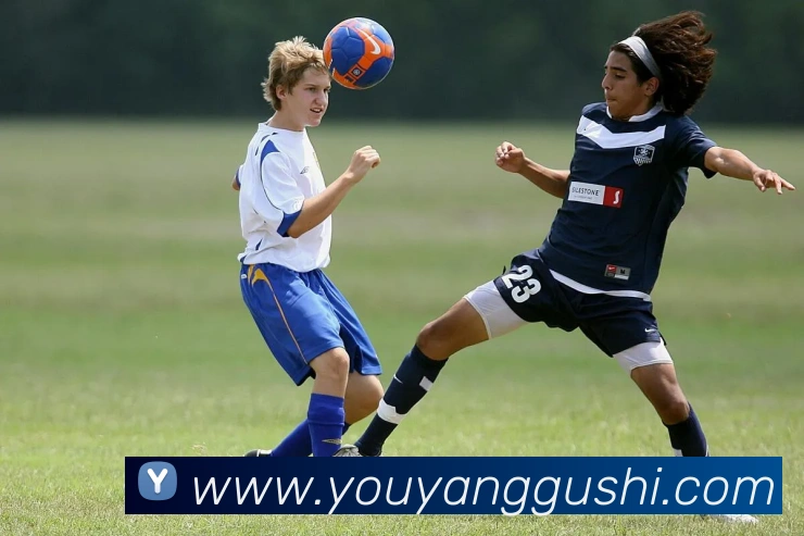 mk体育平台官网APP 封面图